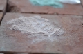 Bild 2 von Lehmfarbe Cappuccino  2.0  / (Menge) 0,25 kg